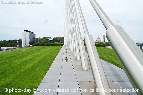 pont de Lige - Lige bridge